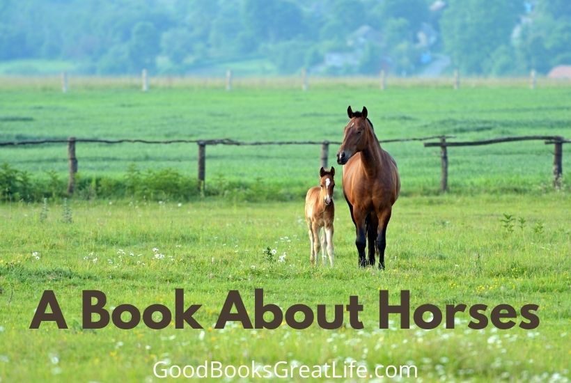 A book about horses